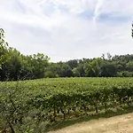 Il Molinaccio Di 팜스테이 *