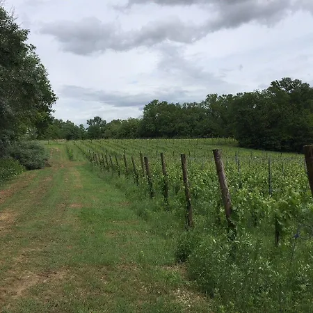 Alloggio per agriturismo Il Molinaccio Di