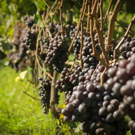 Il Molinaccio Di Montepulciano Stazione
